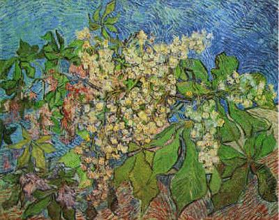 Vincent Van Gogh White Flowers with Blue Background Spain oil painting art